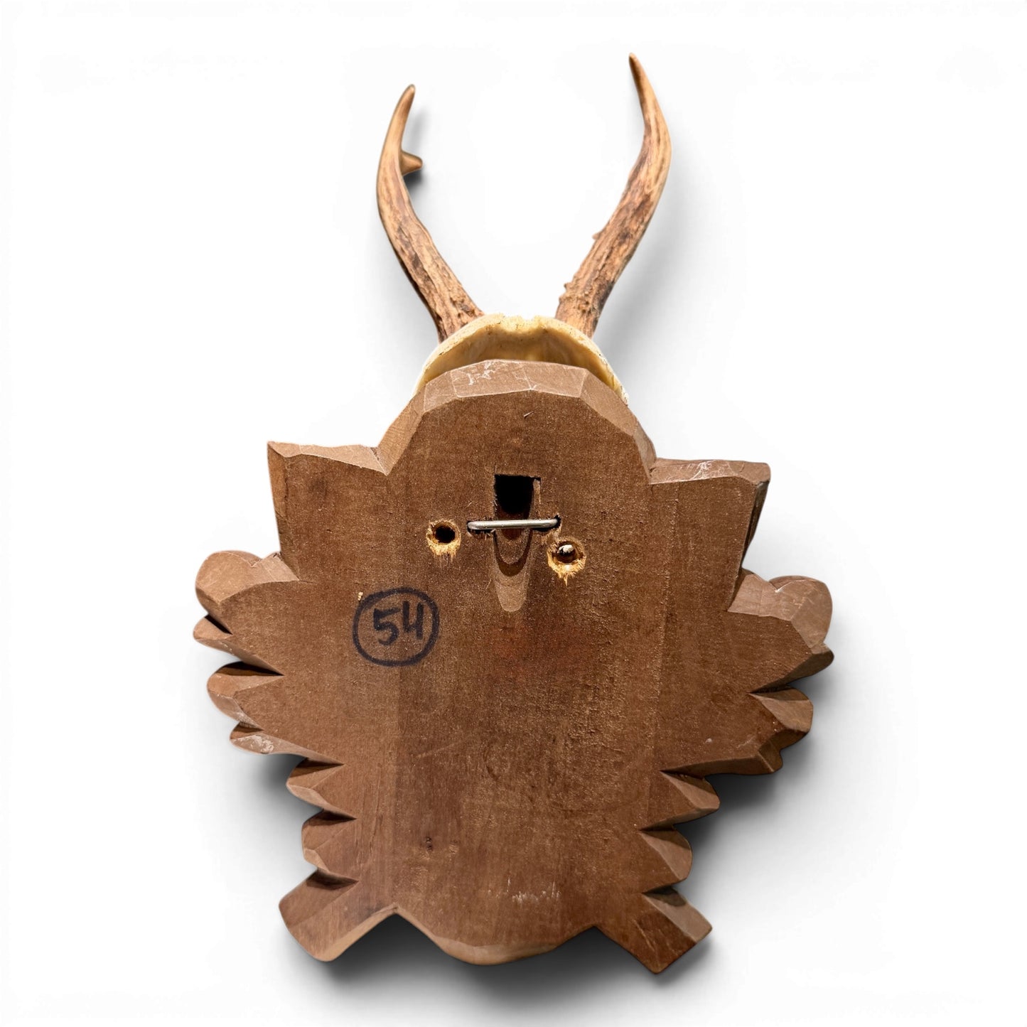 Vintage Black Forest Mounted Roe Antlers from Austria