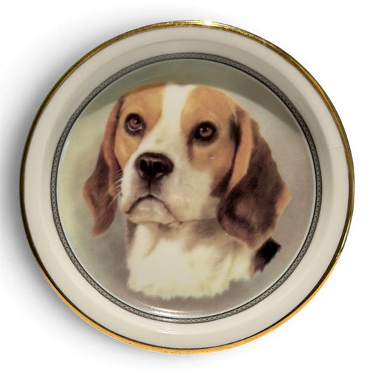 Vintage Beagle Porcelain Plate with Gold Trim