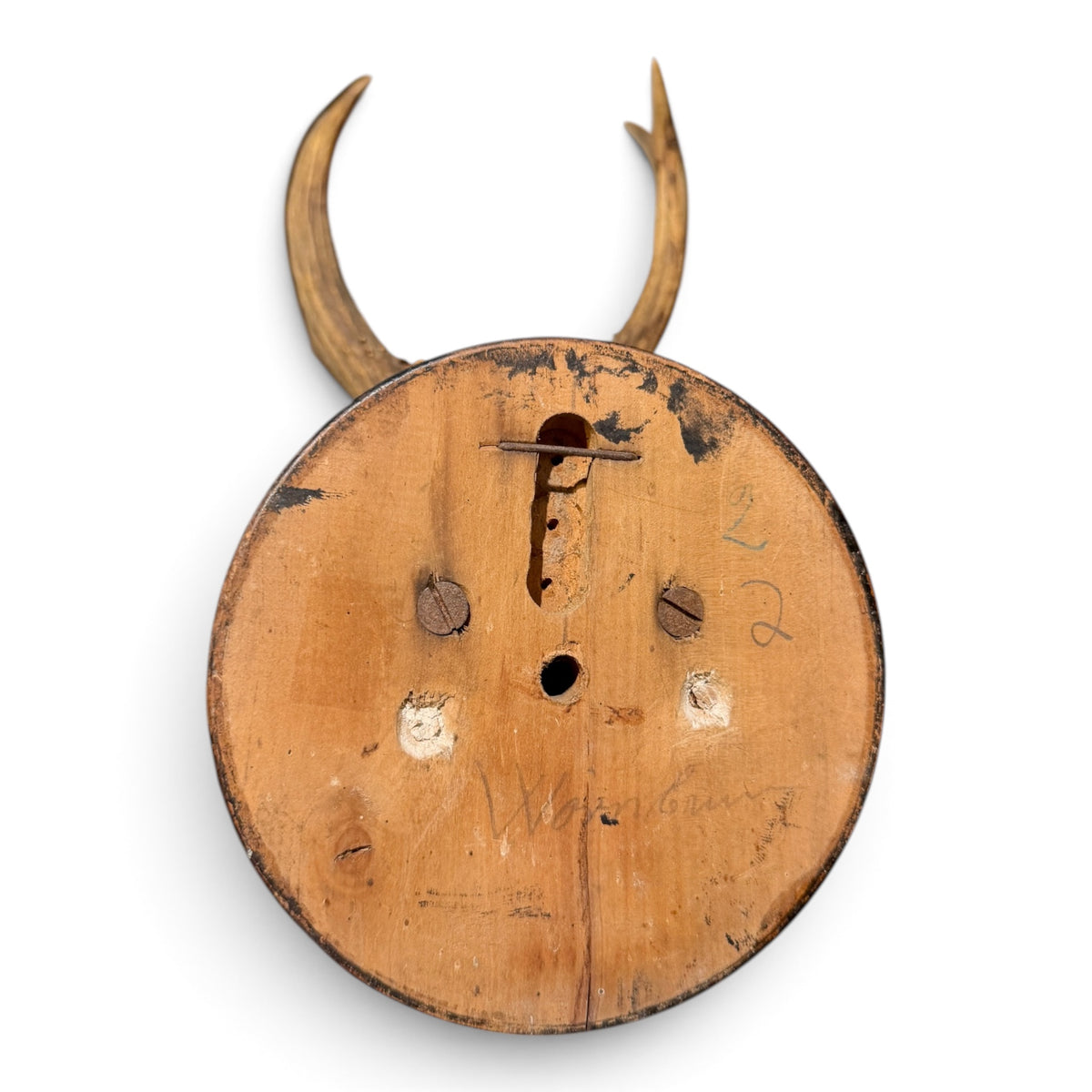 Antique Austrian Roe Deer Antlers on Oak Mount
