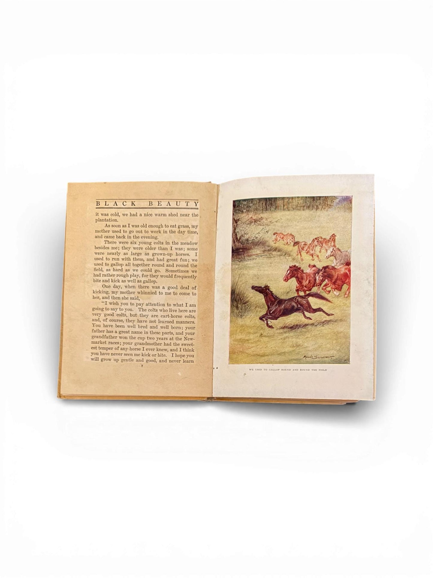 1st Edition c.1900s Hardcover Copy of Black Beauty Book by Anna Sewell