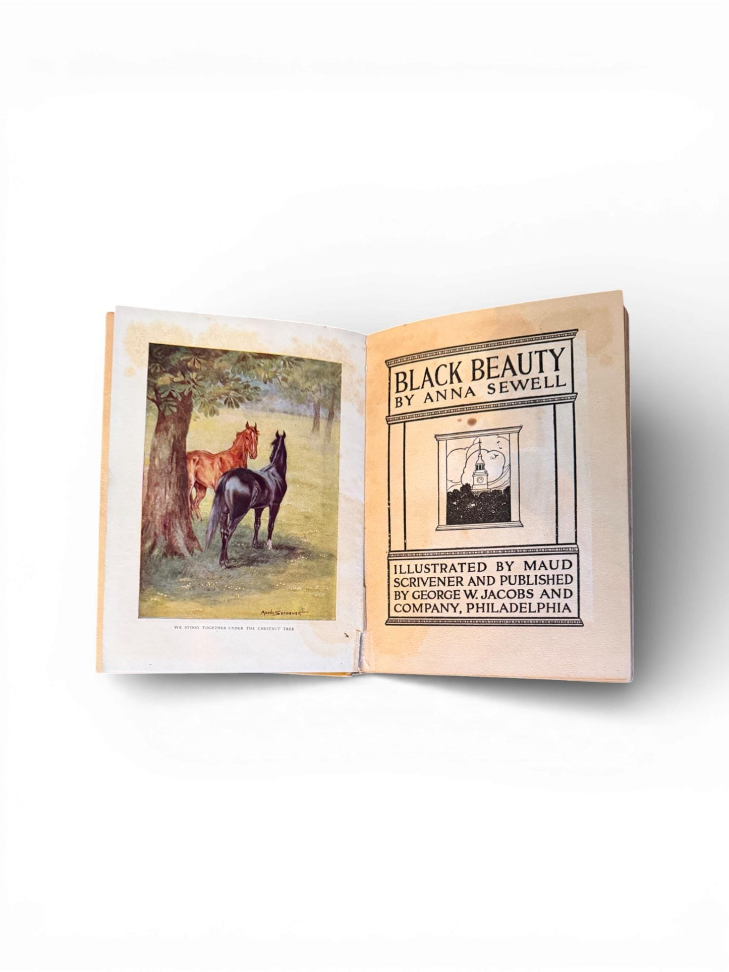 1st Edition c.1900s Hardcover Copy of Black Beauty Book by Anna Sewell