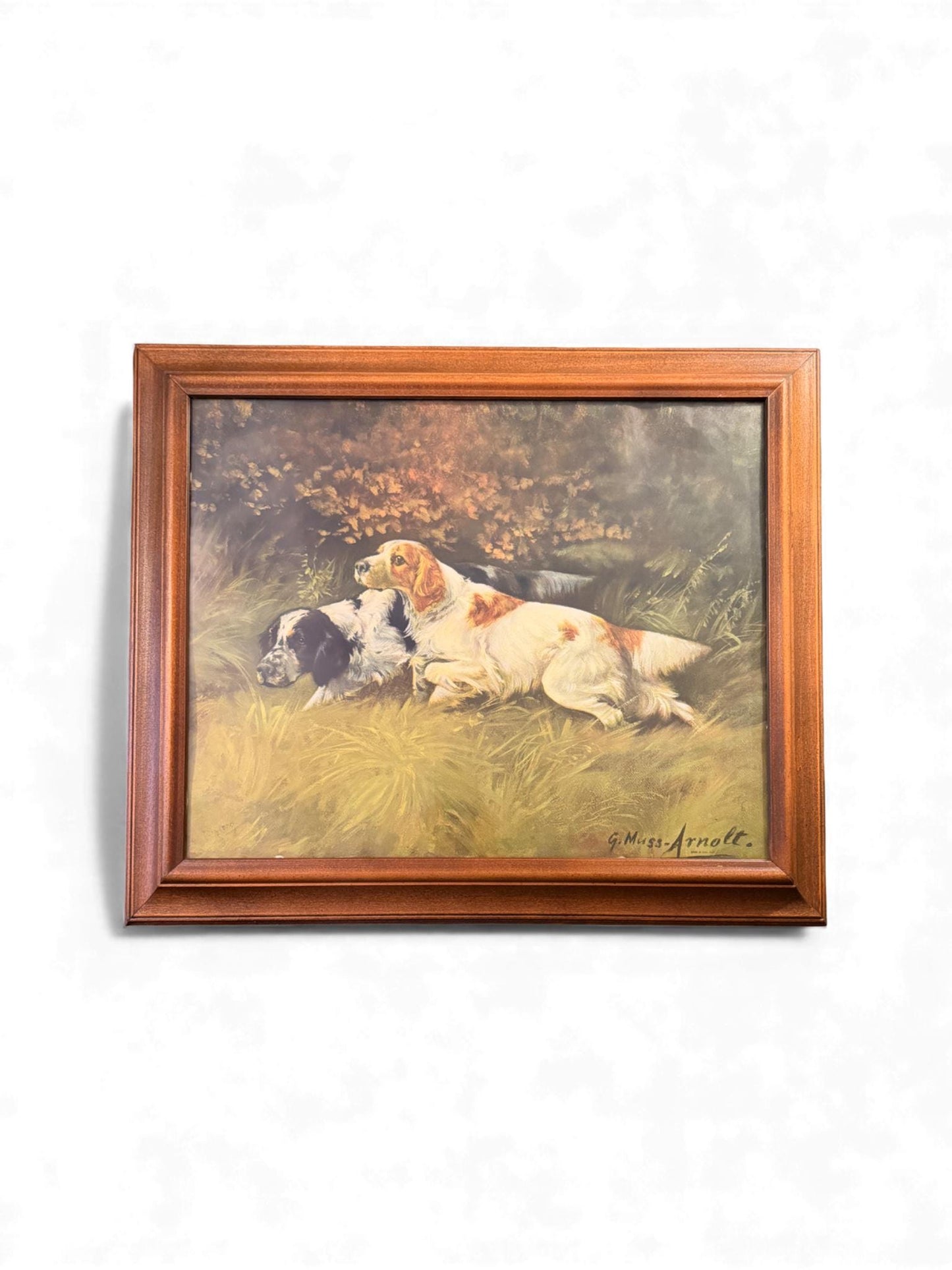 Vintage Framed & Signed Lithograph by Gustav Muss-Arnolt of Two Hunting Dogs in a Meadow