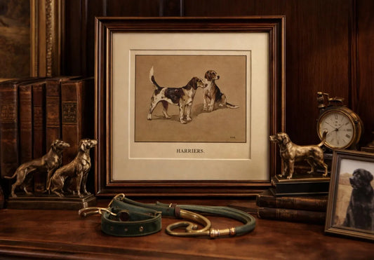 Antique Harriers Print by Vernon Stokes, c. 1920