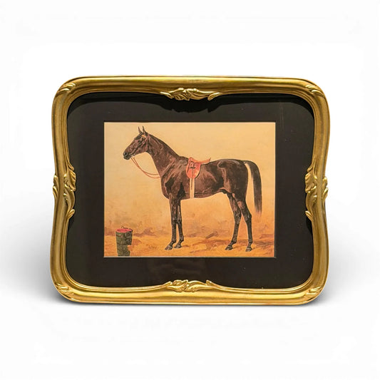 Vintage Equestrian Horse Print in Gilt Frame