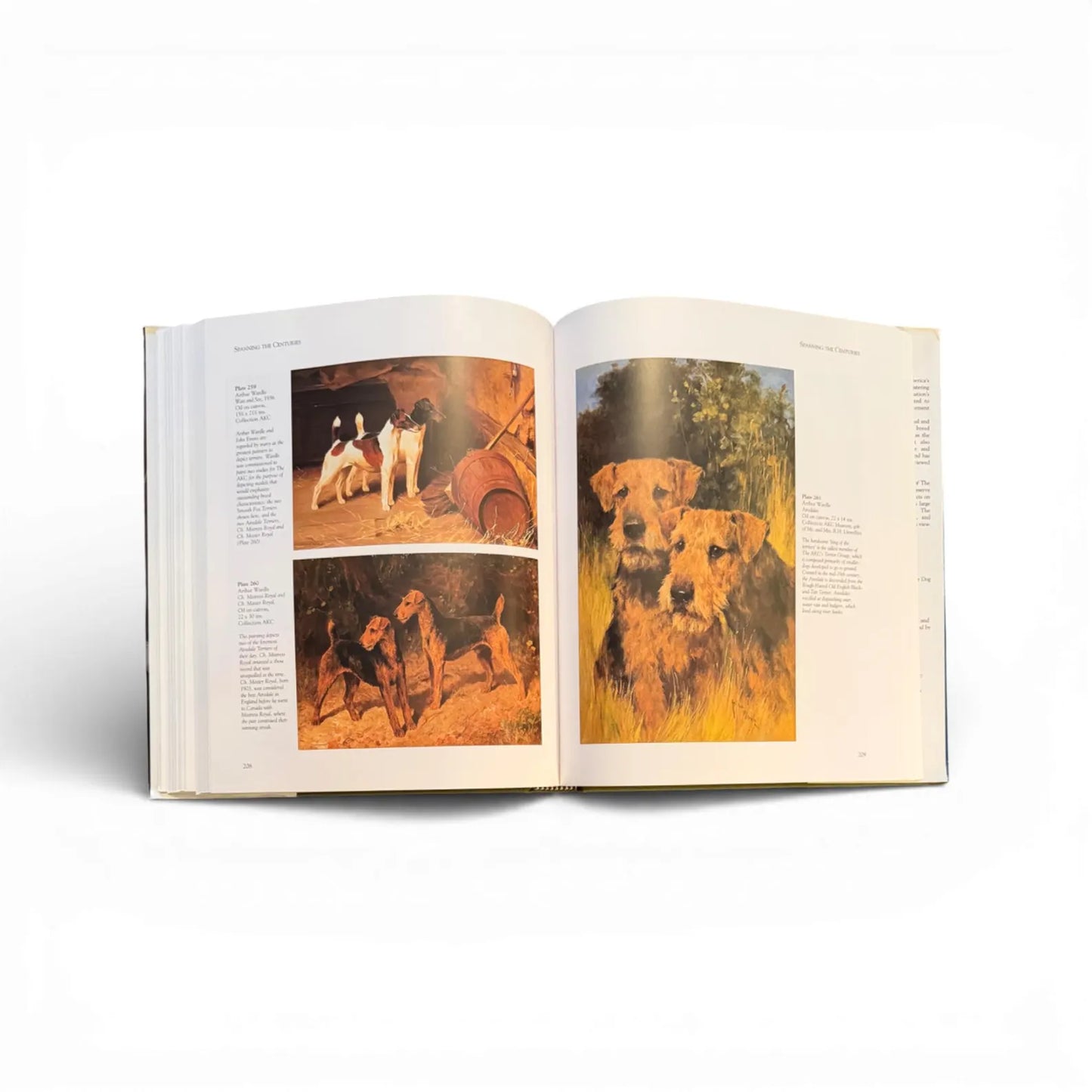 A Breed Apart - AKC Museum of the Dog Art Book: Canine Paintings & Sculpture