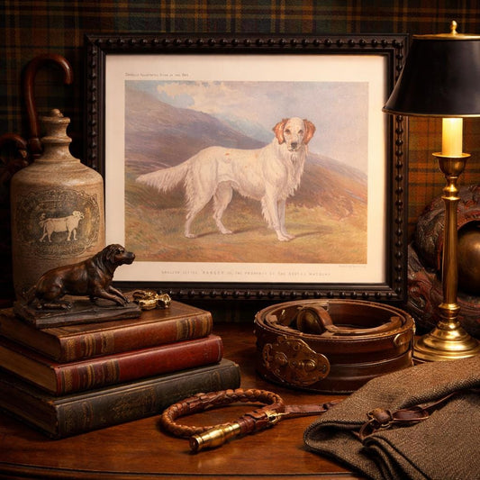 1890s Framed Chromolithograph: English Setter Antique Dog Print