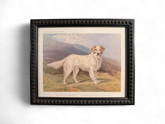 1890s Framed Chromolithograph: English Setter Antique Dog Print