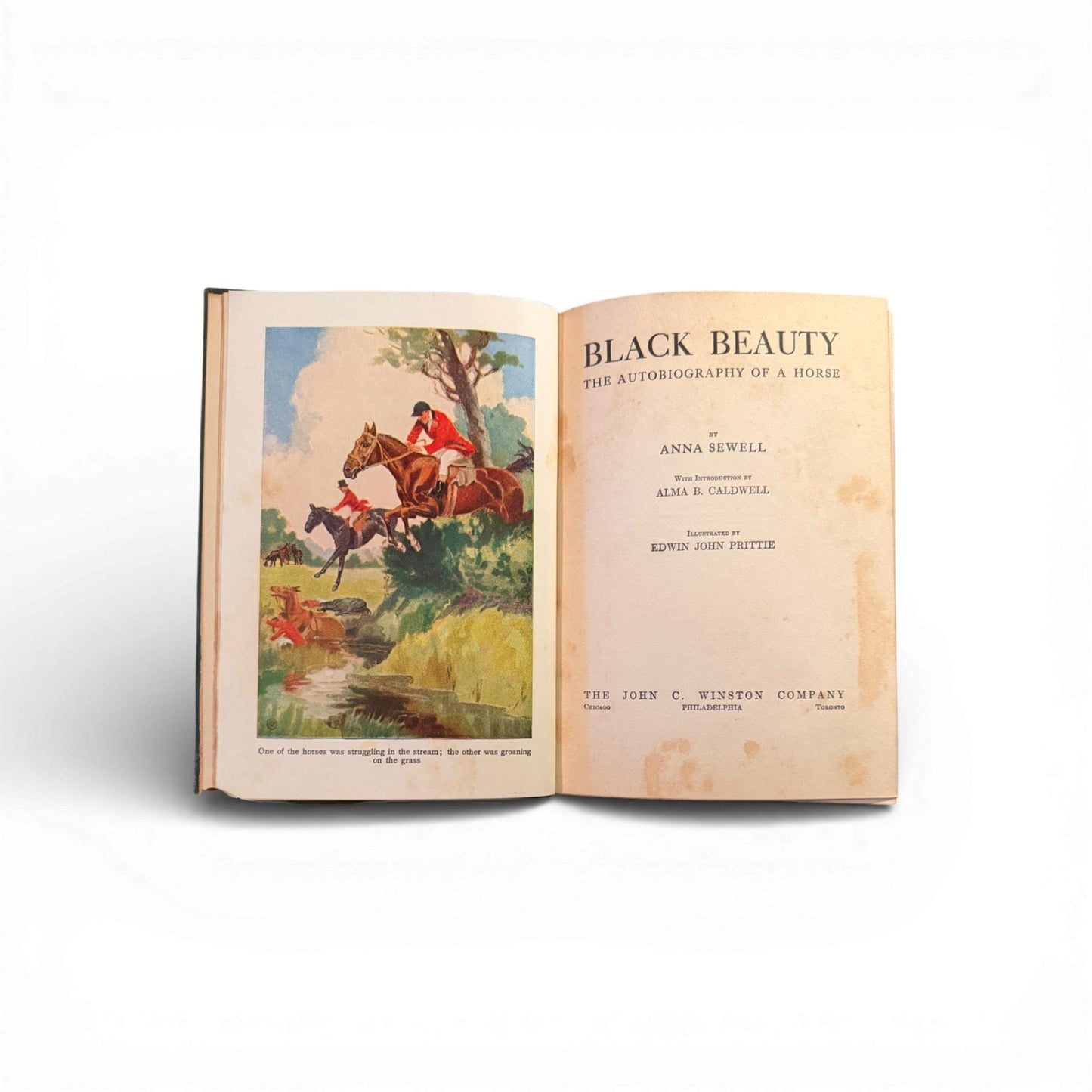 Black Beauty — c. 1927 Illustrated Hardcover Edition by Anna Sewell (John C. Winston Co.)