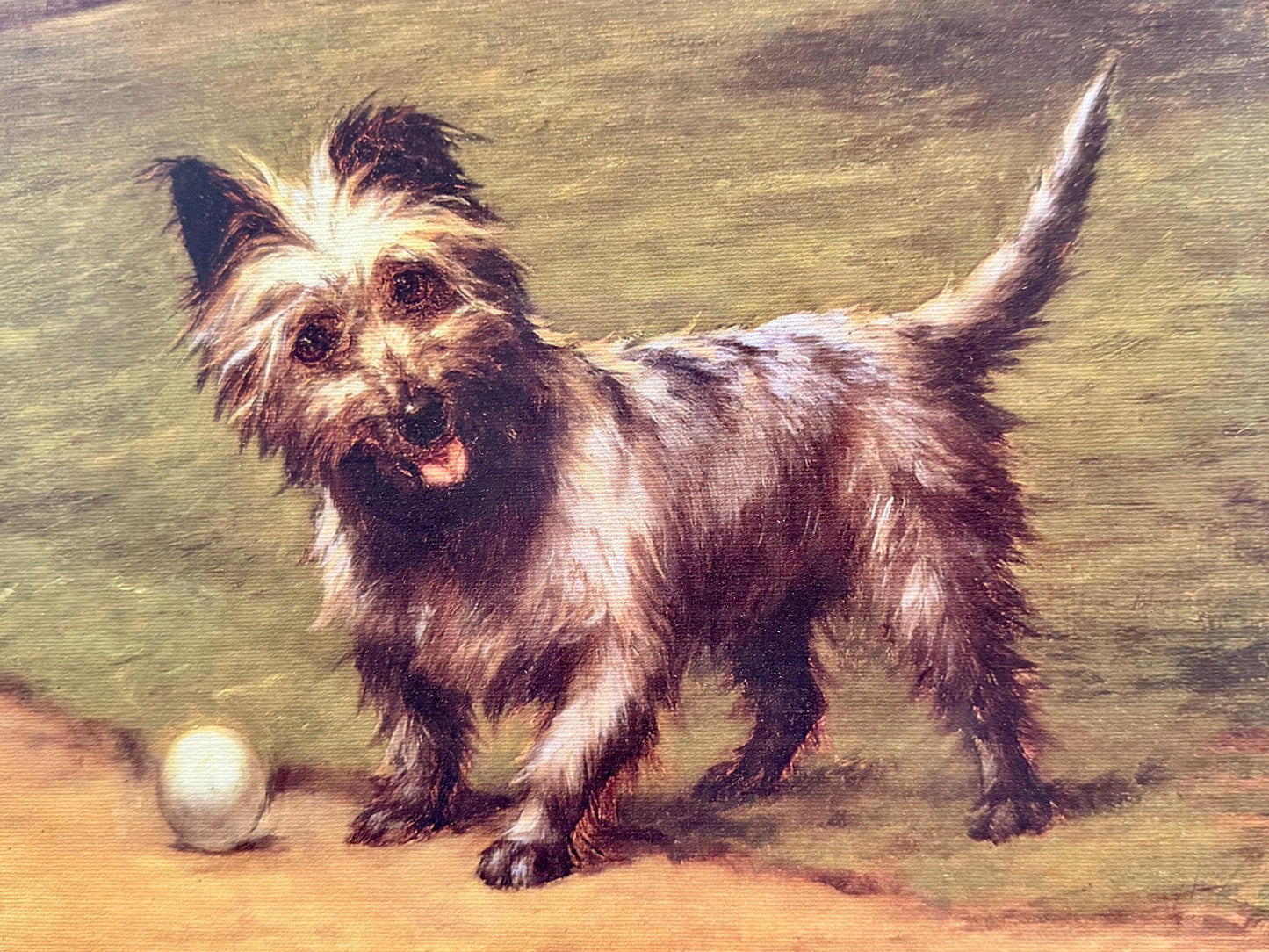 Maud Earl Cairn Terrier Framed Giclée on Canvas