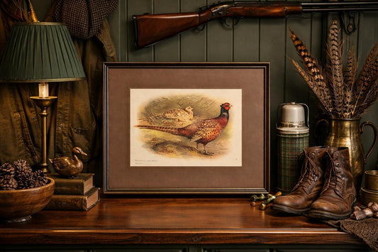 Antique English Pheasant Game Bird Prints