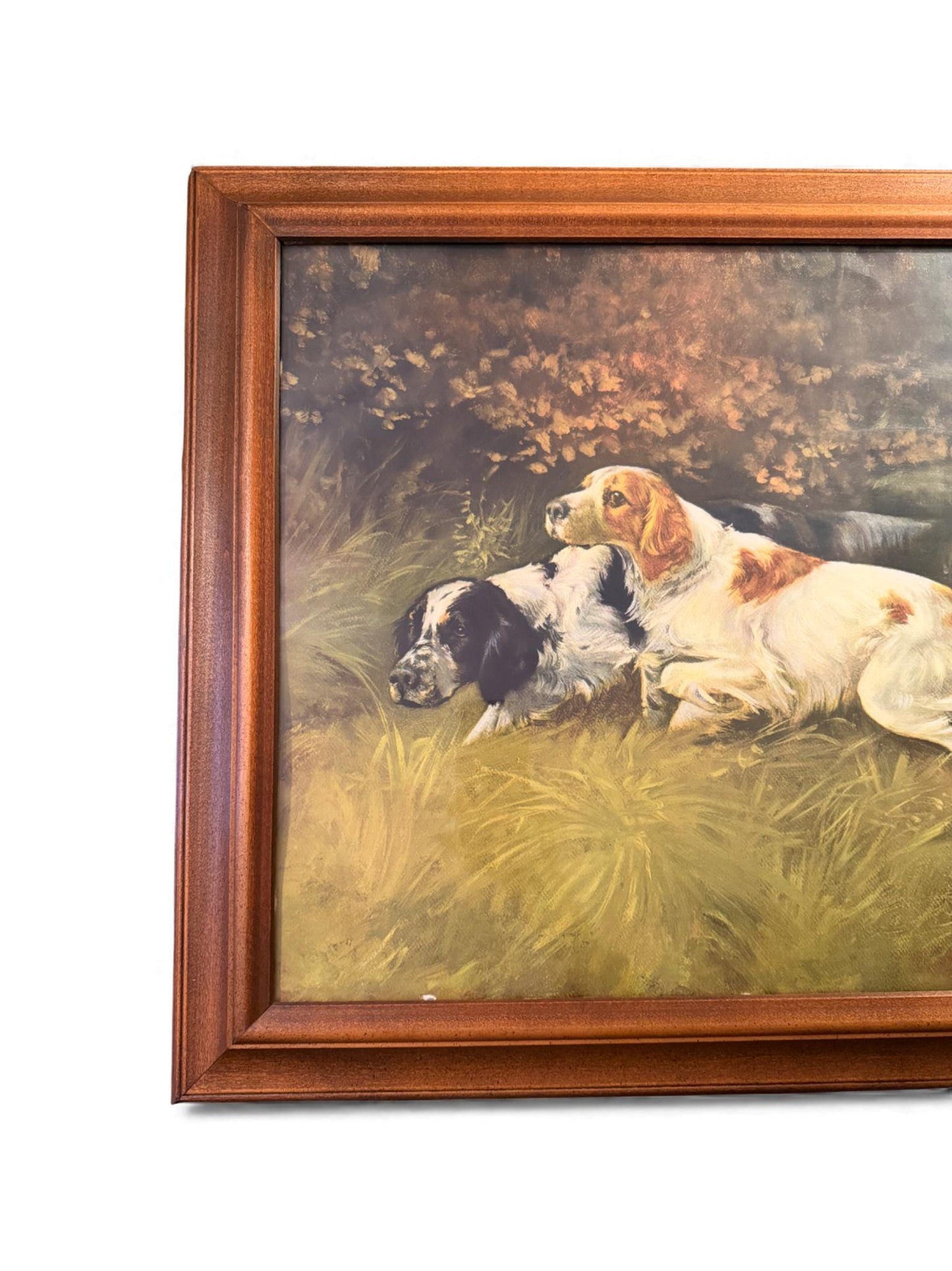 Vintage Framed & Signed Lithograph by Gustav Muss-Arnolt of Two Hunting Dogs in a Meadow