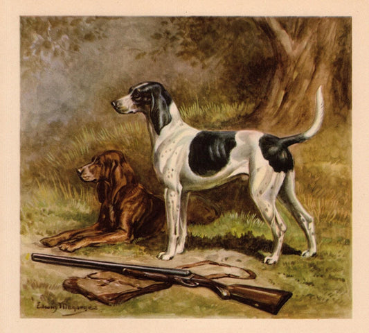 Antique Sporting Dog Print - The American Foxhound - by Edwin Megargee (1942)