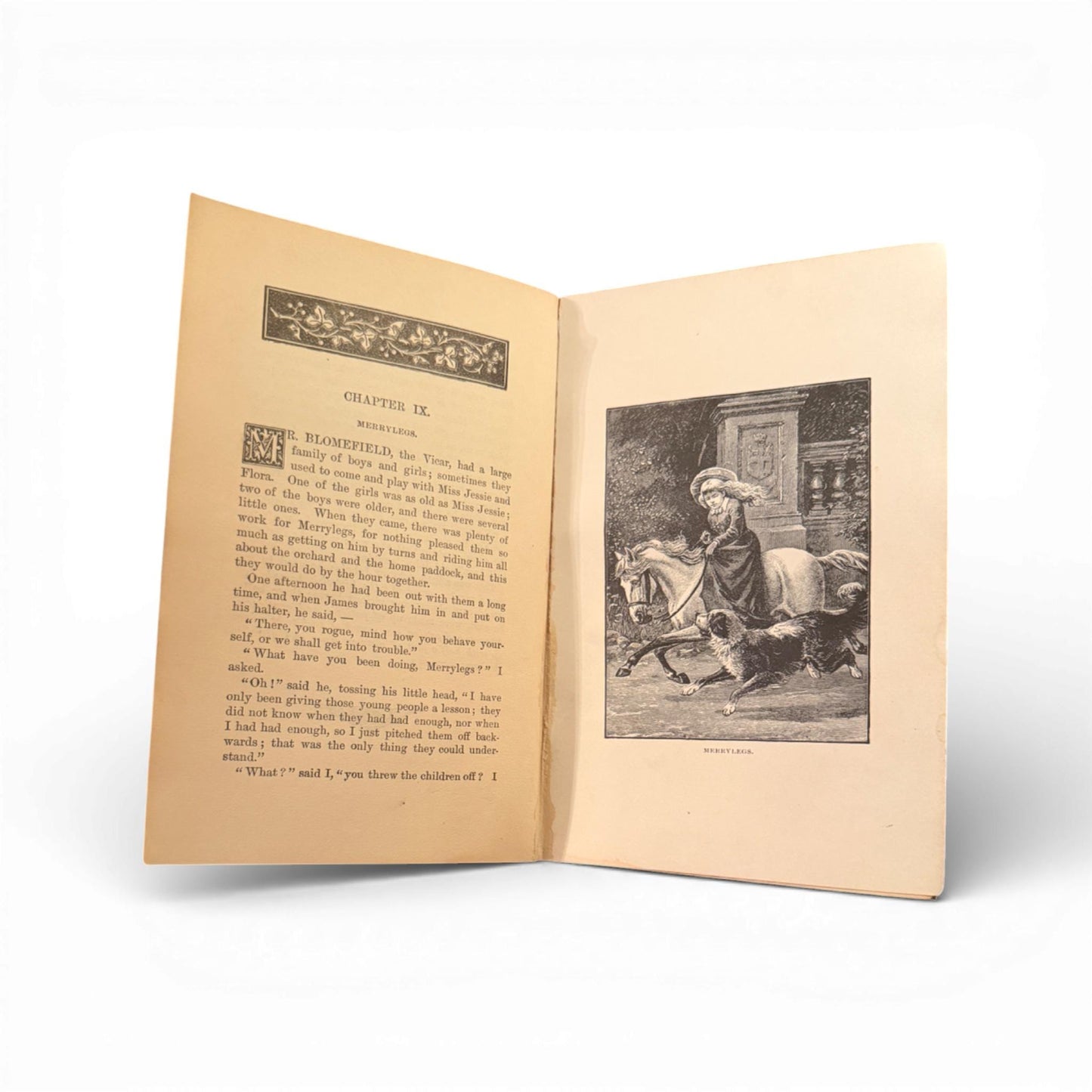 c.1890 First Edition Black Beauty by Anna Sewell - Illustrated - Published by D. Lothrop Company