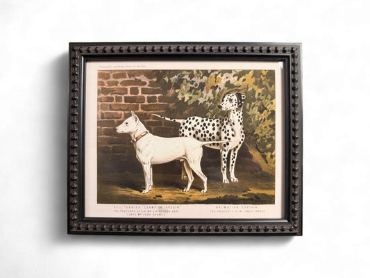 1890s Framed Chromolithograph: Dalmatian and Bull Terrier Antique Dog Print