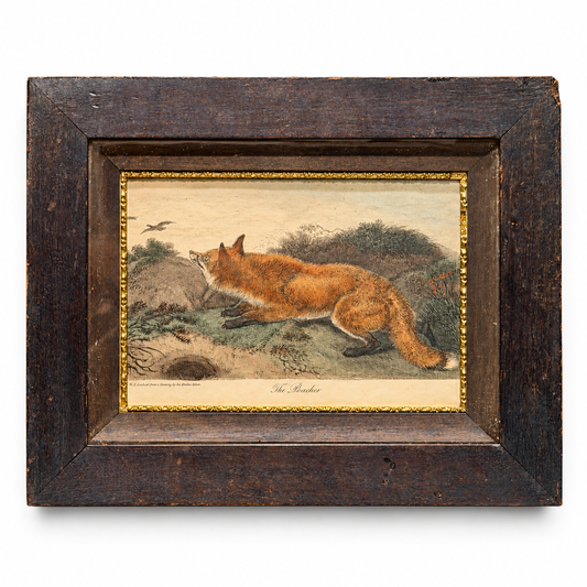 The Poacher — Early 19th-Century Hand-Colored Fox Engraving After Edwin Landseer in Original Frame