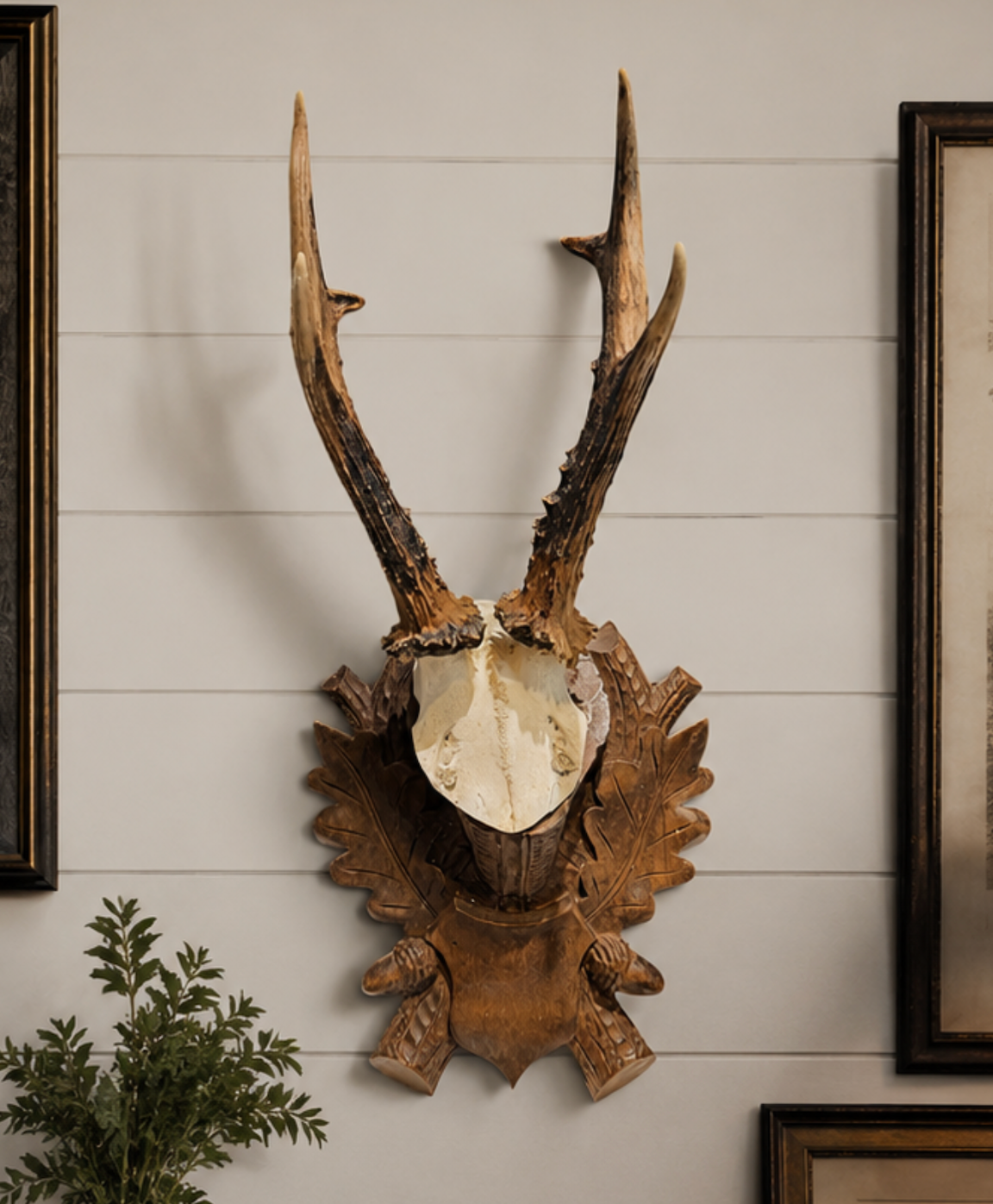 Antique Austrian Black Forest Roe Deer Antlers on Hand Carved Plaque