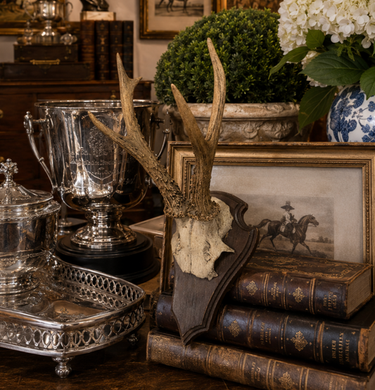 Antique Mounted Roe Antlers from Austria