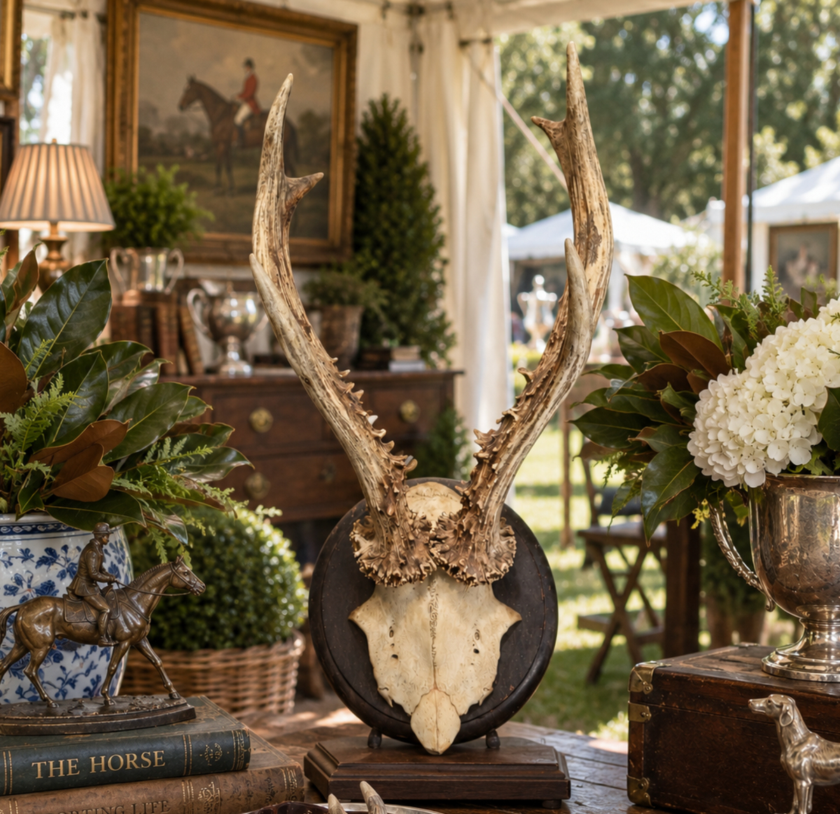 Antique Austrian Roe Deer Antlers on Oak Mount