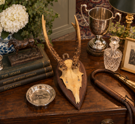 A taxidermy deer skull with antlers mounted on a wooden plaque, styled on a dark wood chest alongside books, a silver cup, a glass decanter, and other vintage decor.