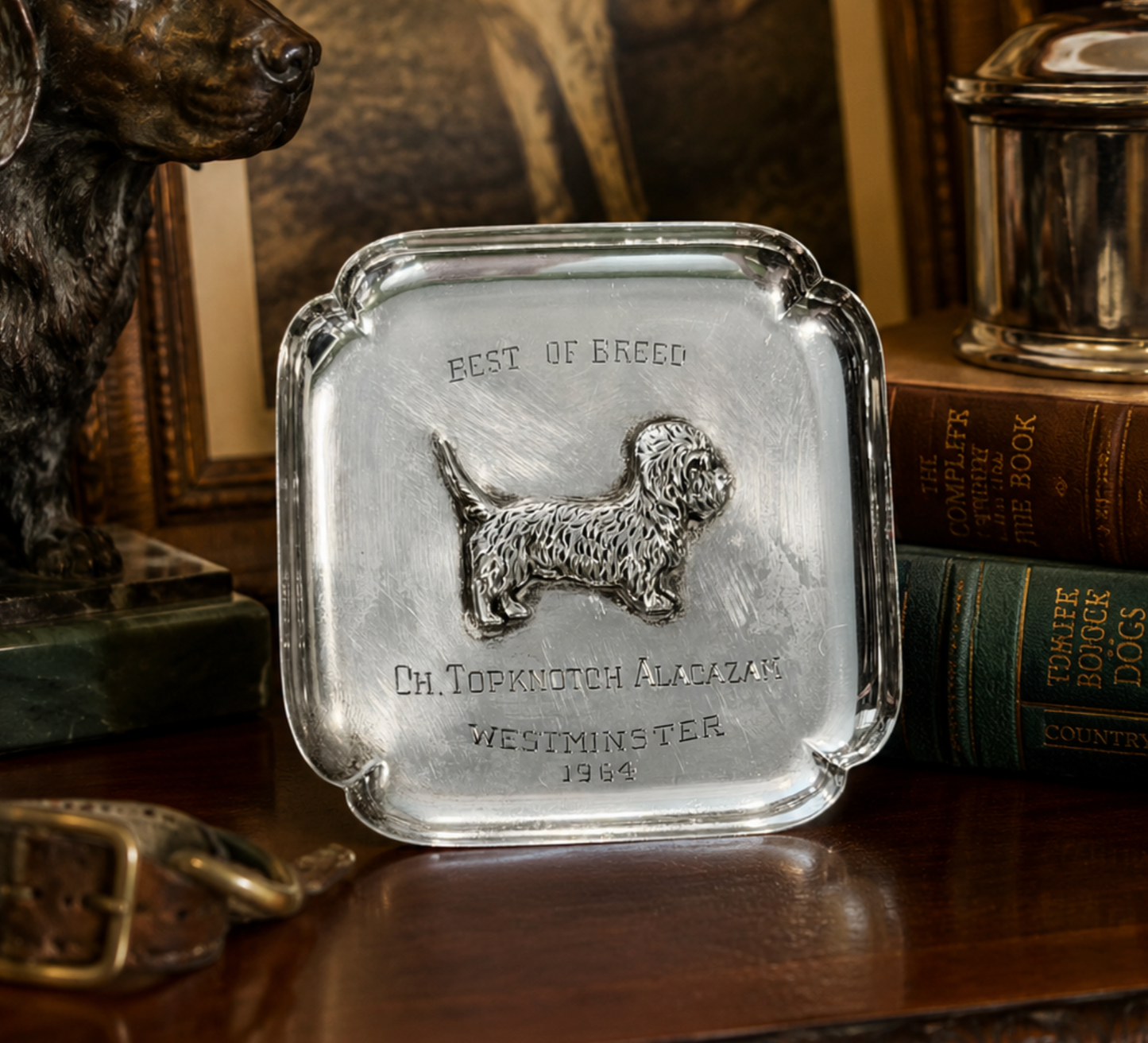 A square silver-toned metal plaque with rounded corners stands on a wooden surface. The plaque is engraved with a dog silhouette and the text 'BEST OF BREED', 'CH.