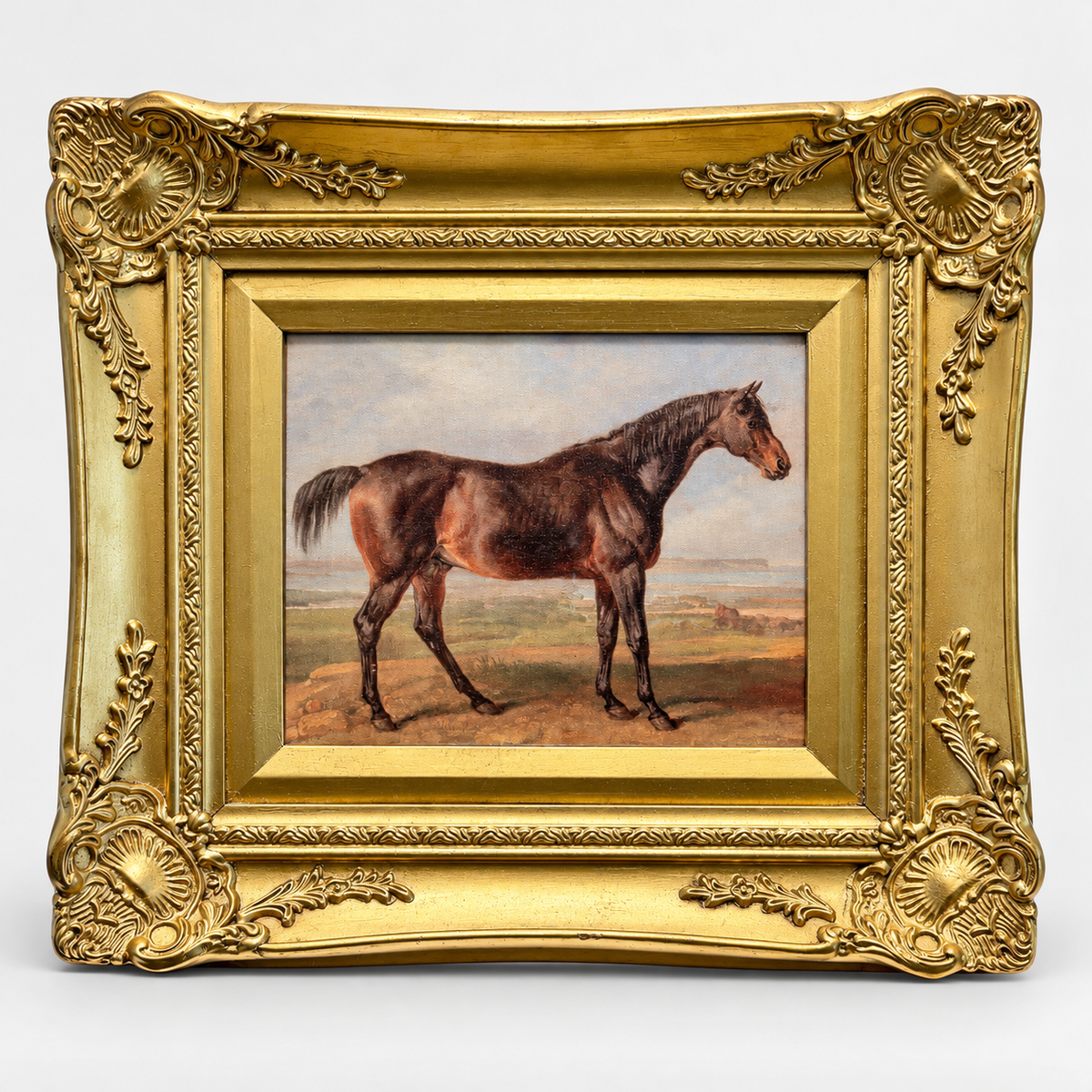 Vintage Framed Equestrian Horse Portrait Print on Canvas in Gilt Frame