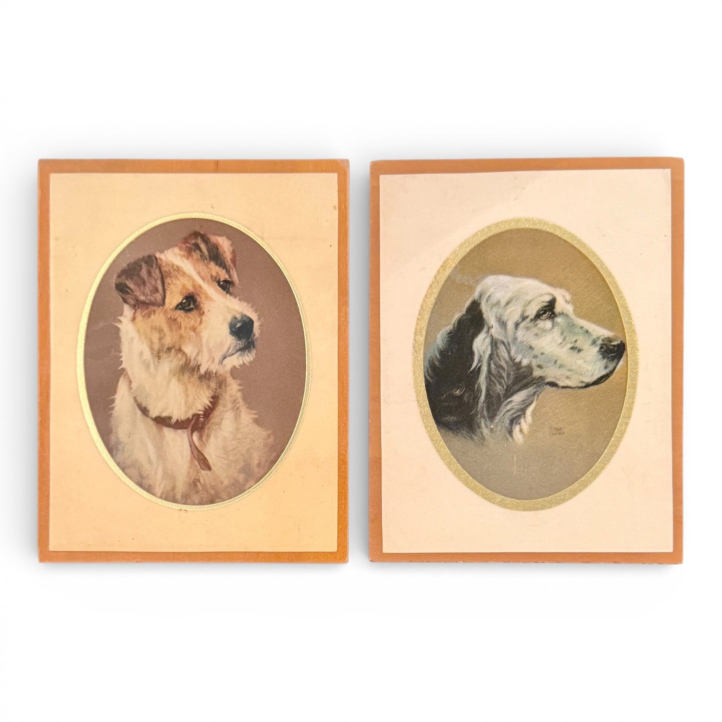 Vintage Hunting Dog Portrait Plaques – Pair with Gold Leaf Detailing