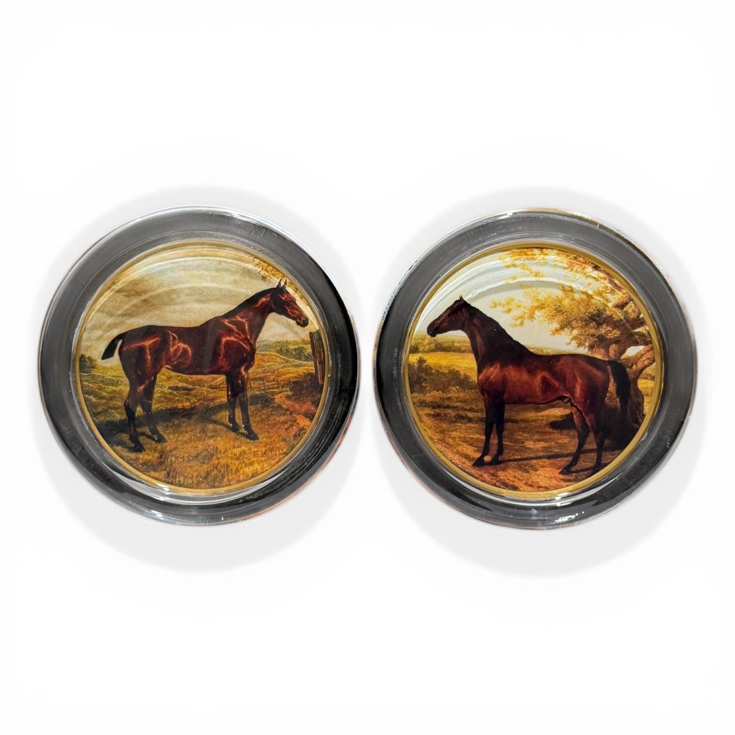 Handmade Equestrian Glass Coasters - Pair