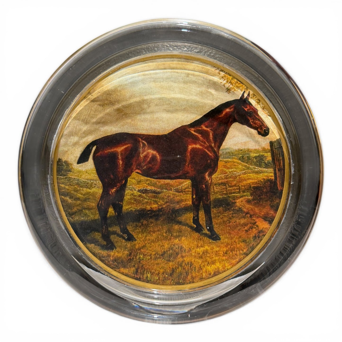 Handmade Equestrian Glass Coasters - Pair