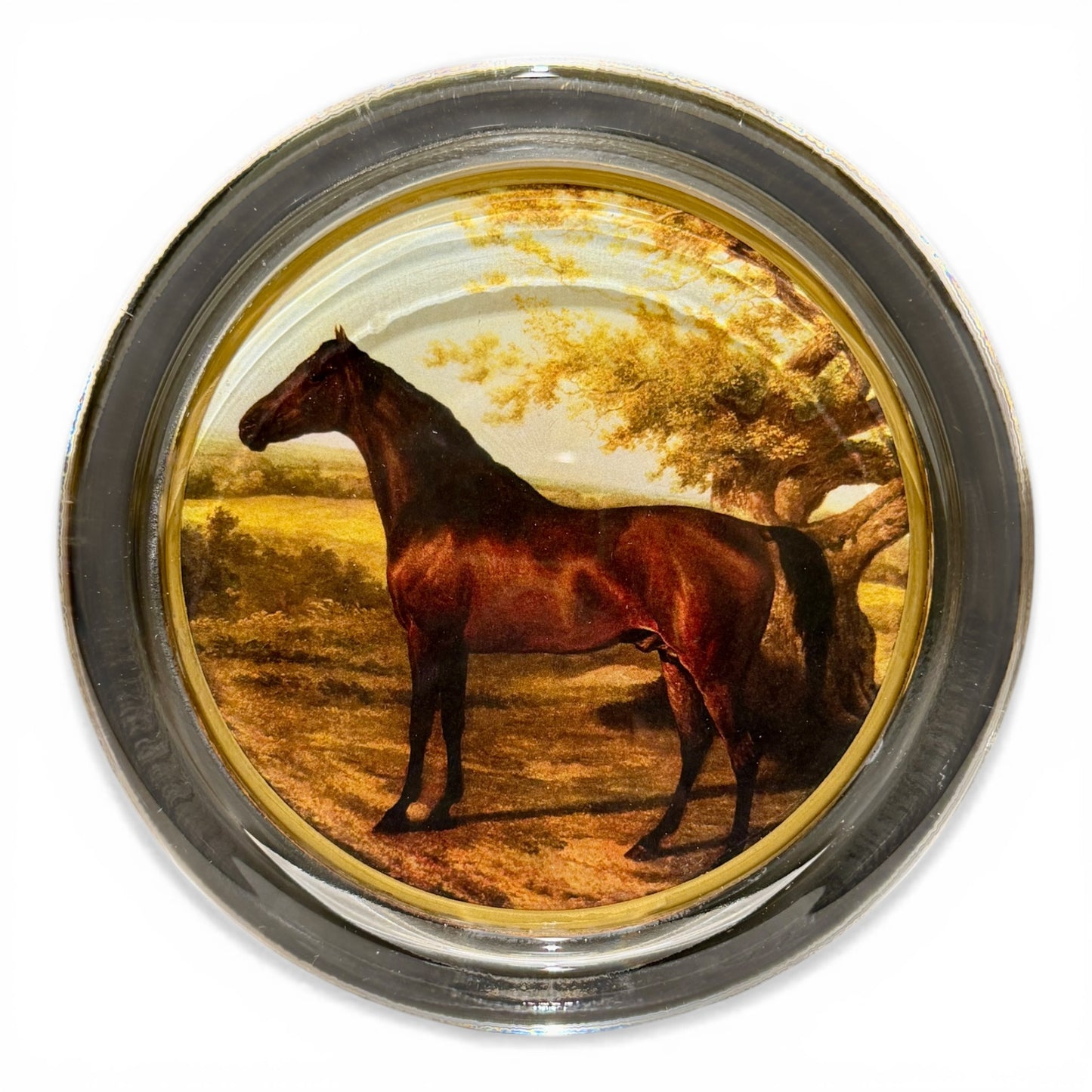 Handmade Equestrian Glass Coasters - Pair