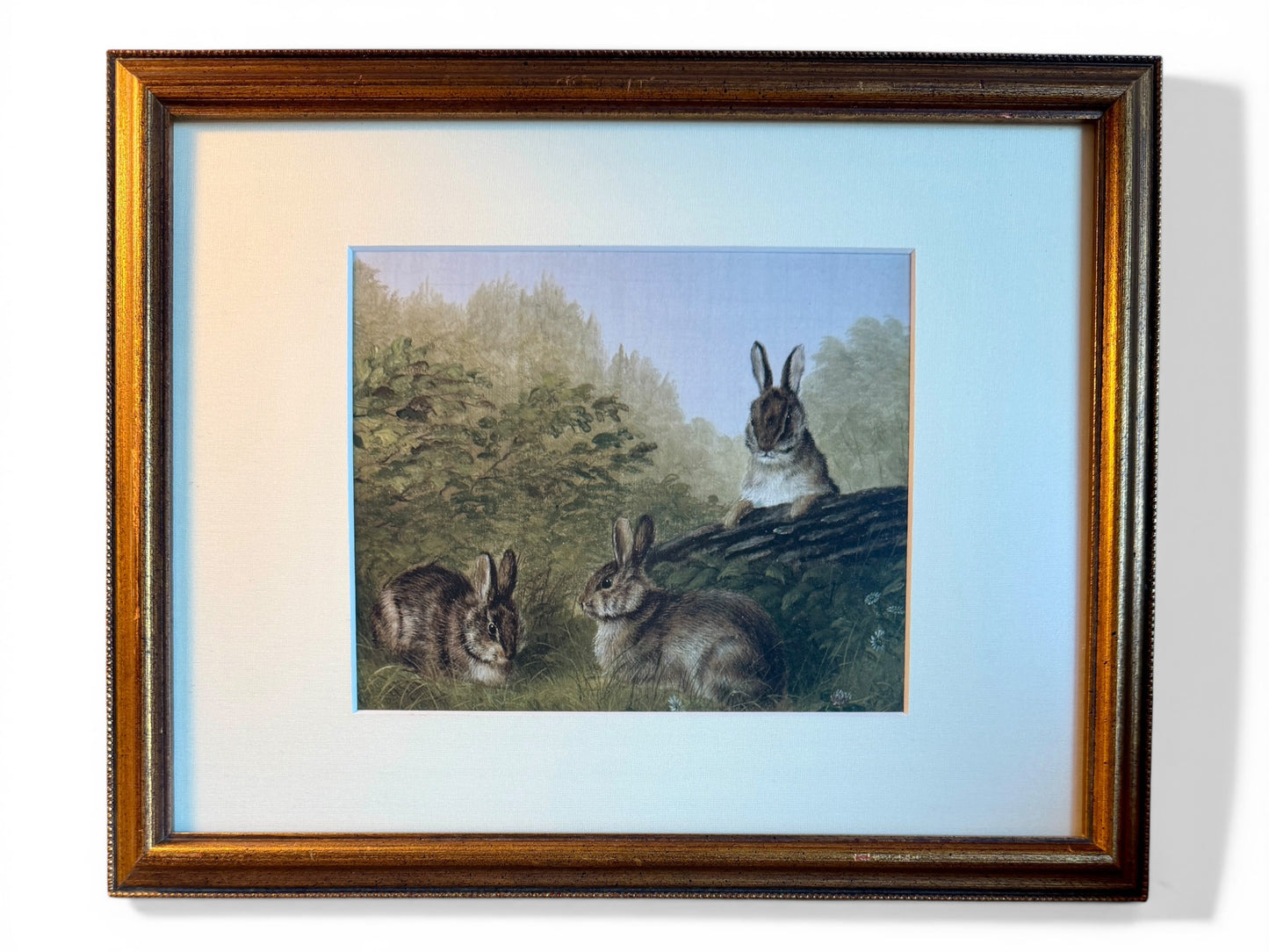 Rabbits On A Log - Vintage Arthur Fitzwilliam Tait Lithograph (c. 1897)