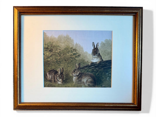 Rabbits On A Log - Vintage Arthur Fitzwilliam Tait Lithograph (c. 1897)