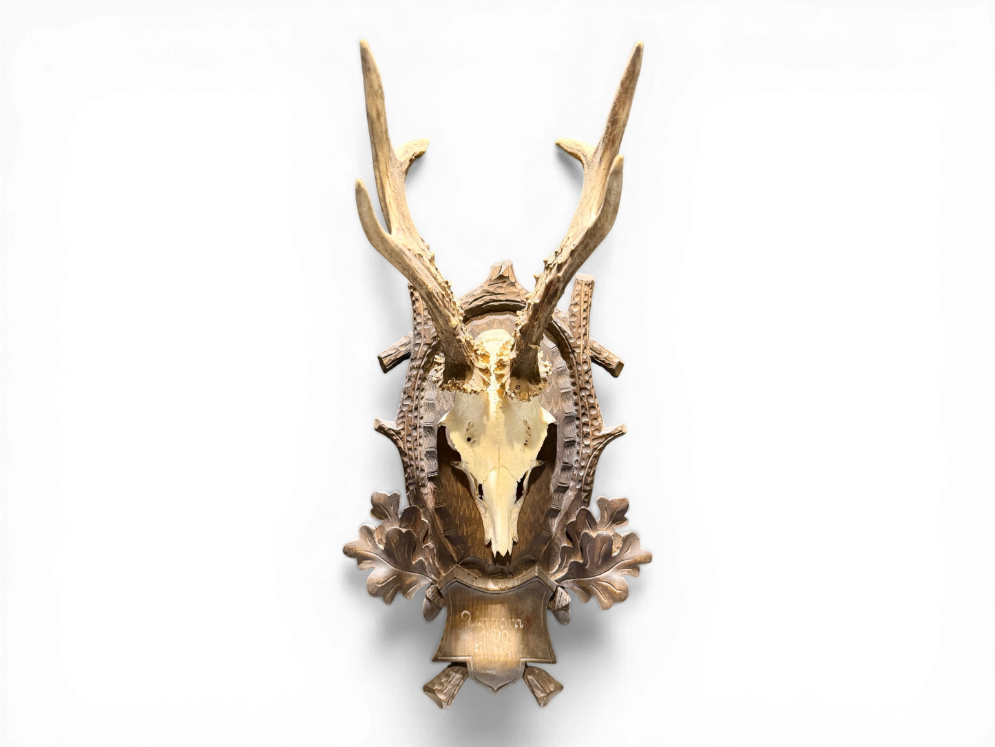 Austrian Black Forest Roe Buck Antlers Mount