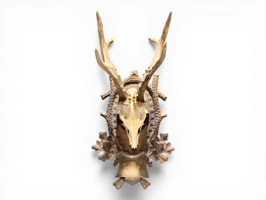 Austrian Black Forest Roe Buck Antlers Mount