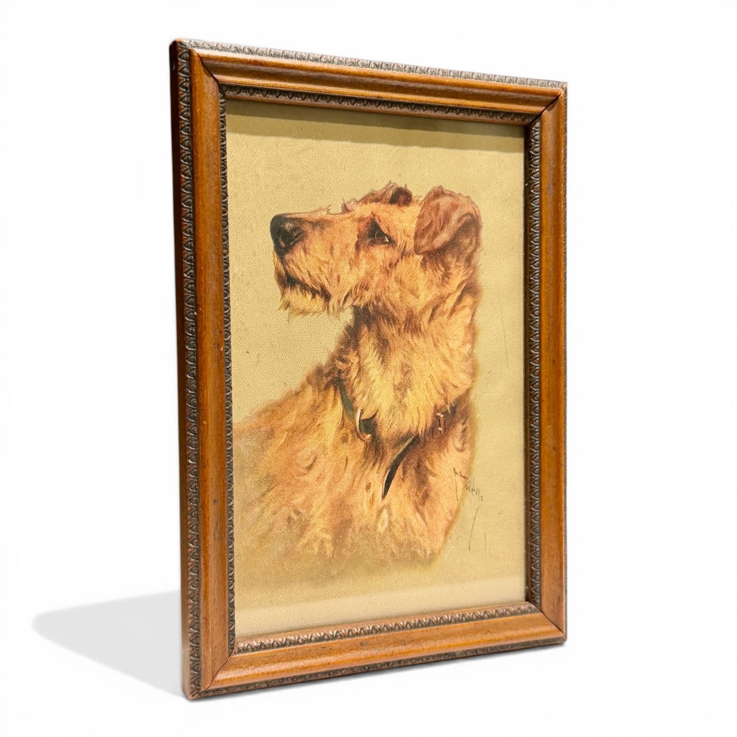 Vintage Petite Terrier Portrait in Wood Frame