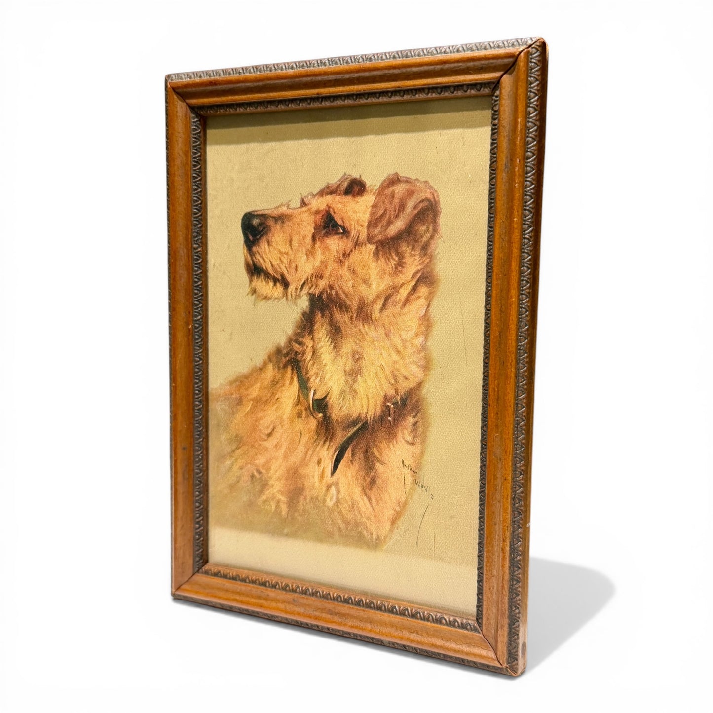 Vintage Petite Terrier Portrait in Wood Frame