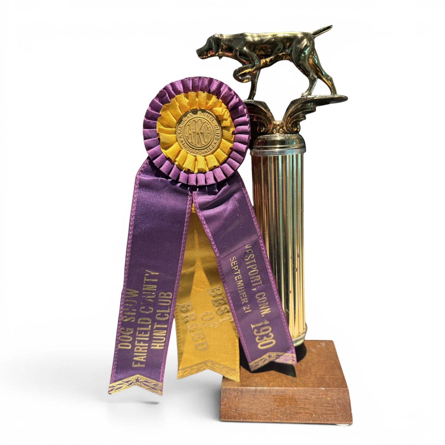 Vintage AKC Pointer Dog Trophy and Best of Breed Ribbon, 1930