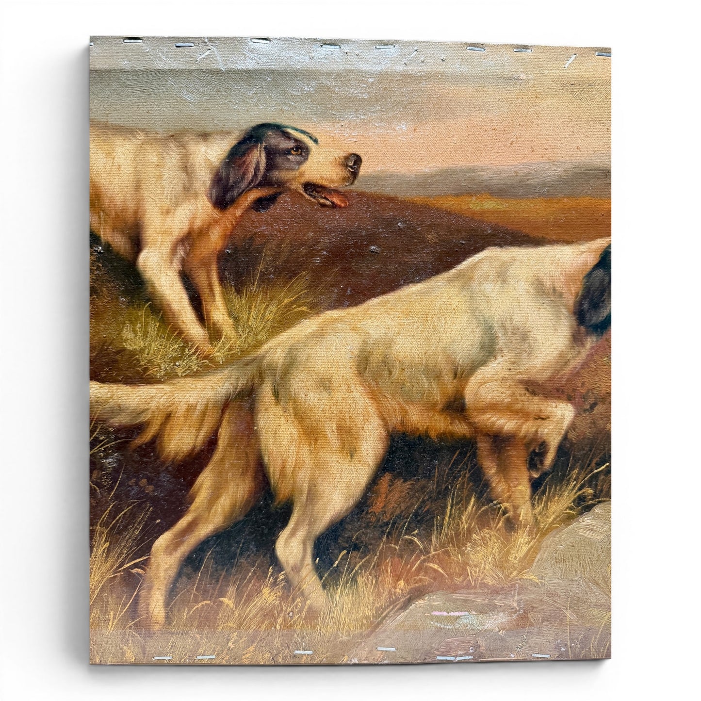 Vintage Original Sporting Oil Painting of Setters in Field - Signed