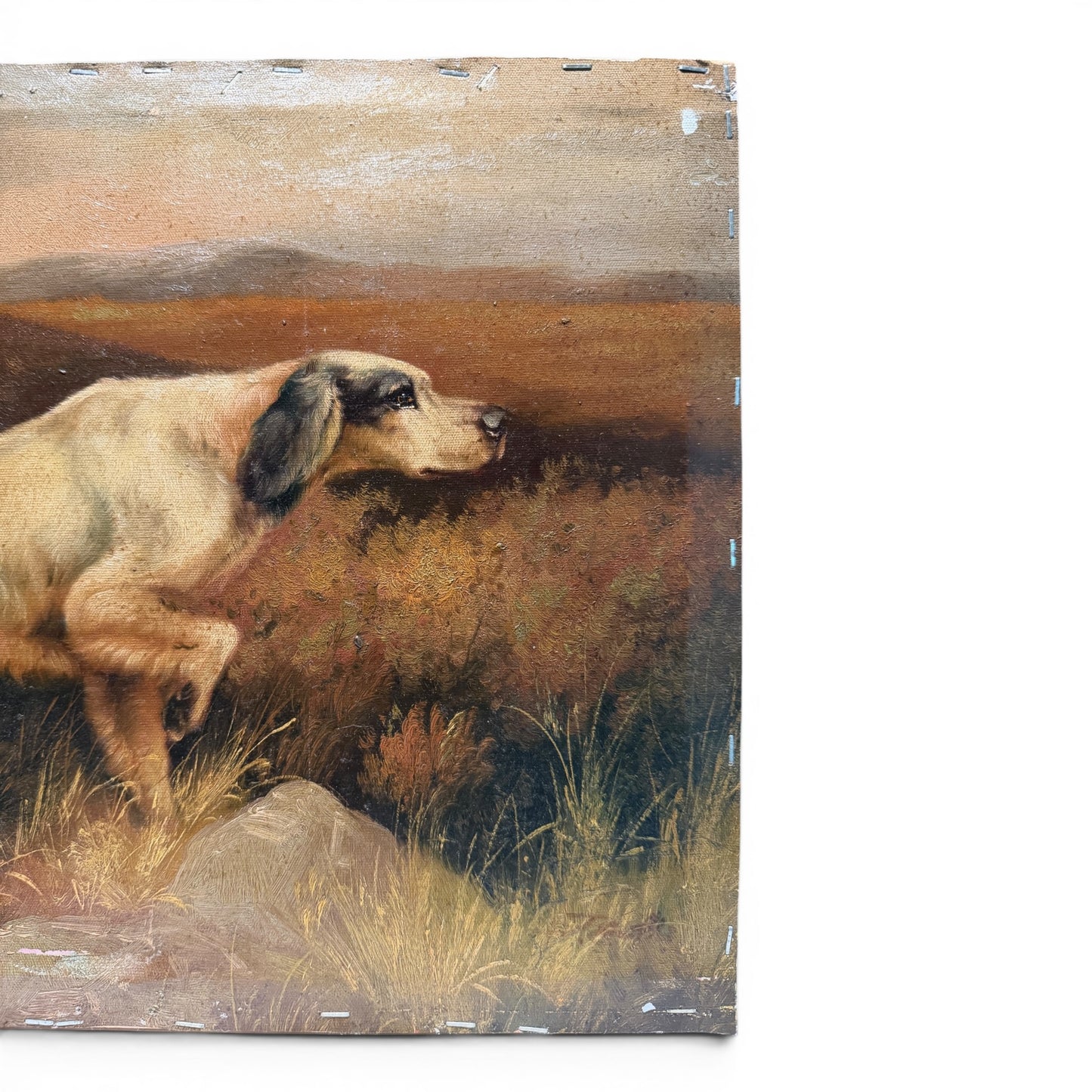 Vintage Original Sporting Oil Painting of Setters in Field - Signed