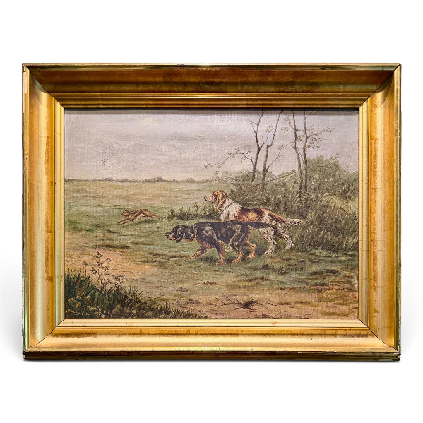 Early 20th Century Sporting Dog Oil Painting in Gilt Frame