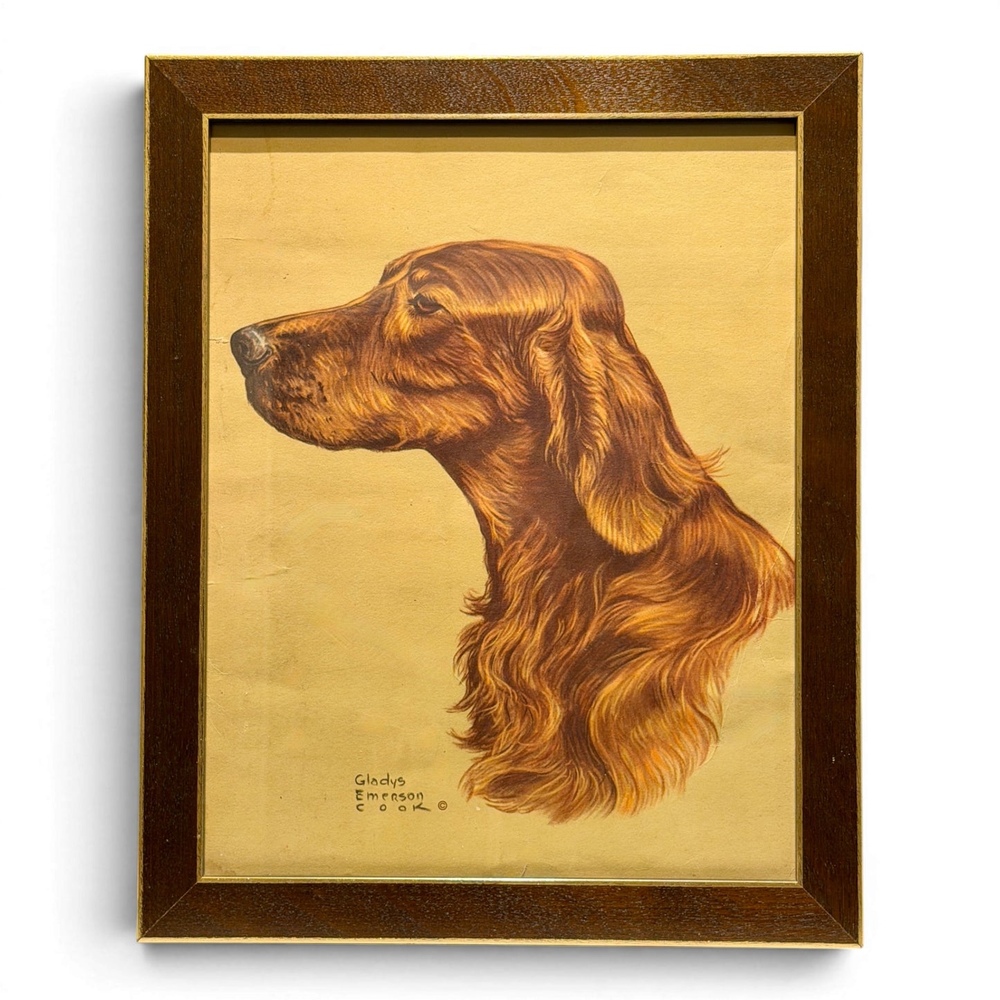 Vintage Gladys Emerson Cook Irish Setter Framed Lithograph