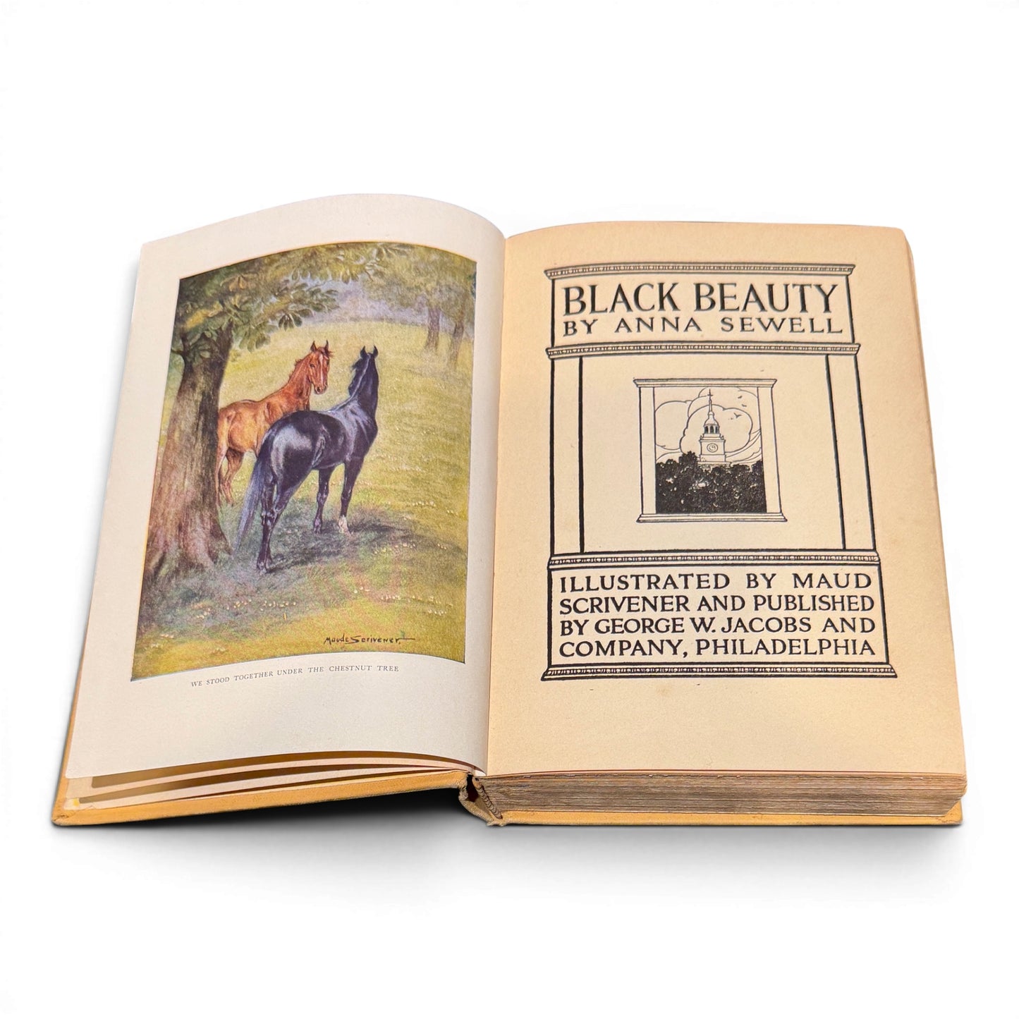 1st Edition c.1900s Hardcover Copy of Black Beauty Book by Anna Sewell