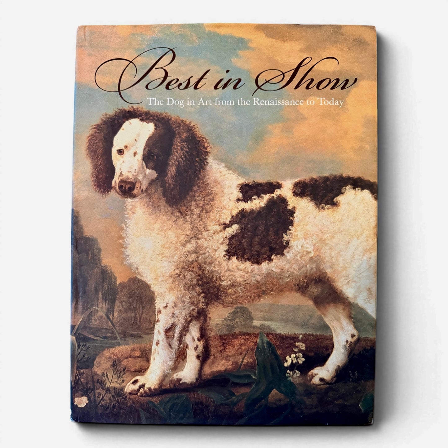 Vintage Best in Show Coffee Table Book