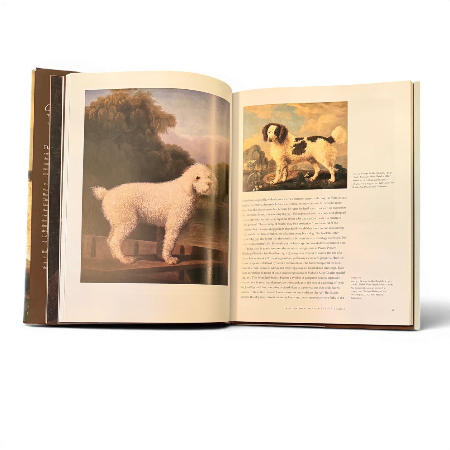 Vintage Best in Show Coffee Table Book