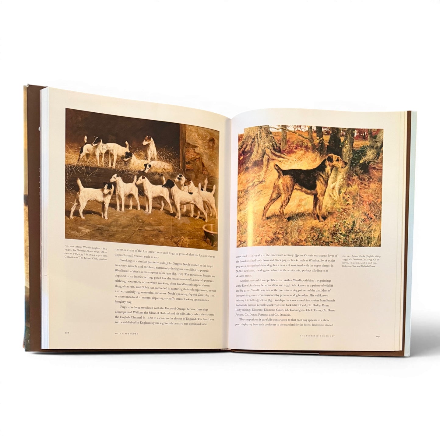 Vintage Best in Show Coffee Table Book