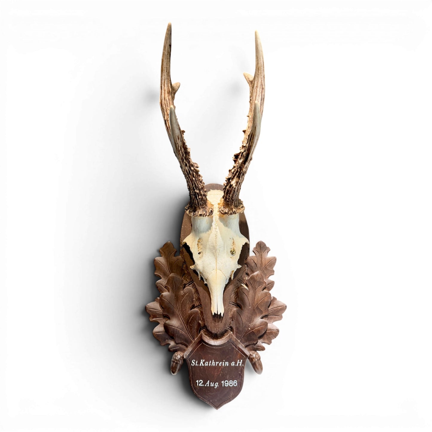 Vintage Austrian Black Forest Roe Antler Mount on Hand Carved Plaque