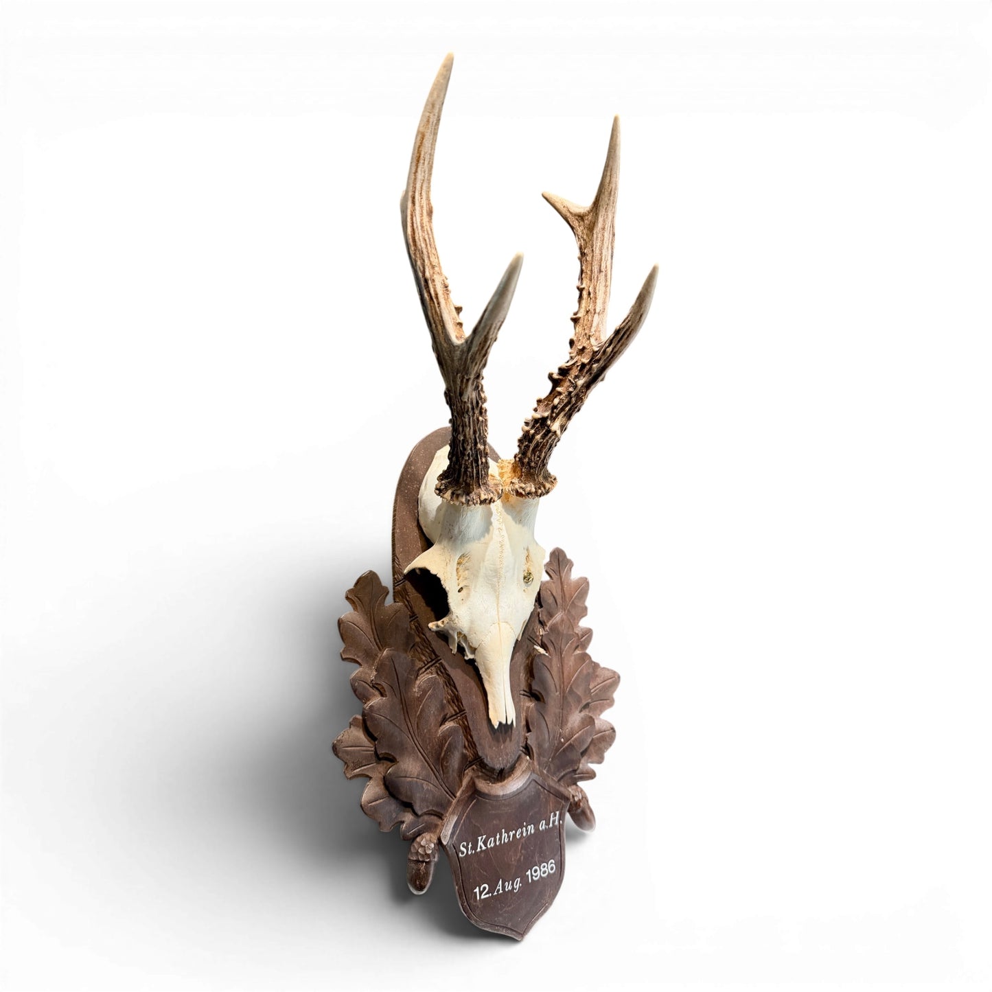 Vintage Austrian Black Forest Roe Antler Mount on Hand Carved Plaque