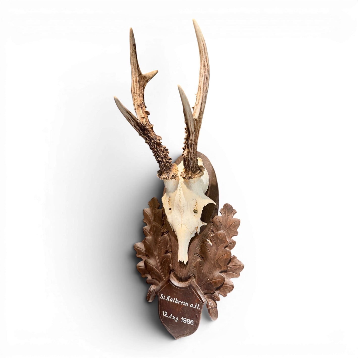 Vintage Austrian Black Forest Roe Antler Mount on Hand Carved Plaque