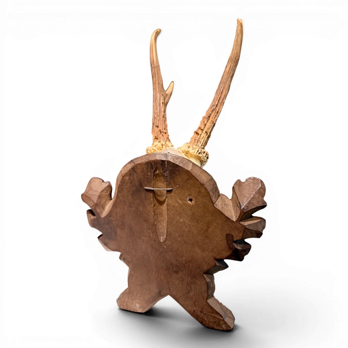 Antique Black Forest Mounted Roe Antlers from Austria