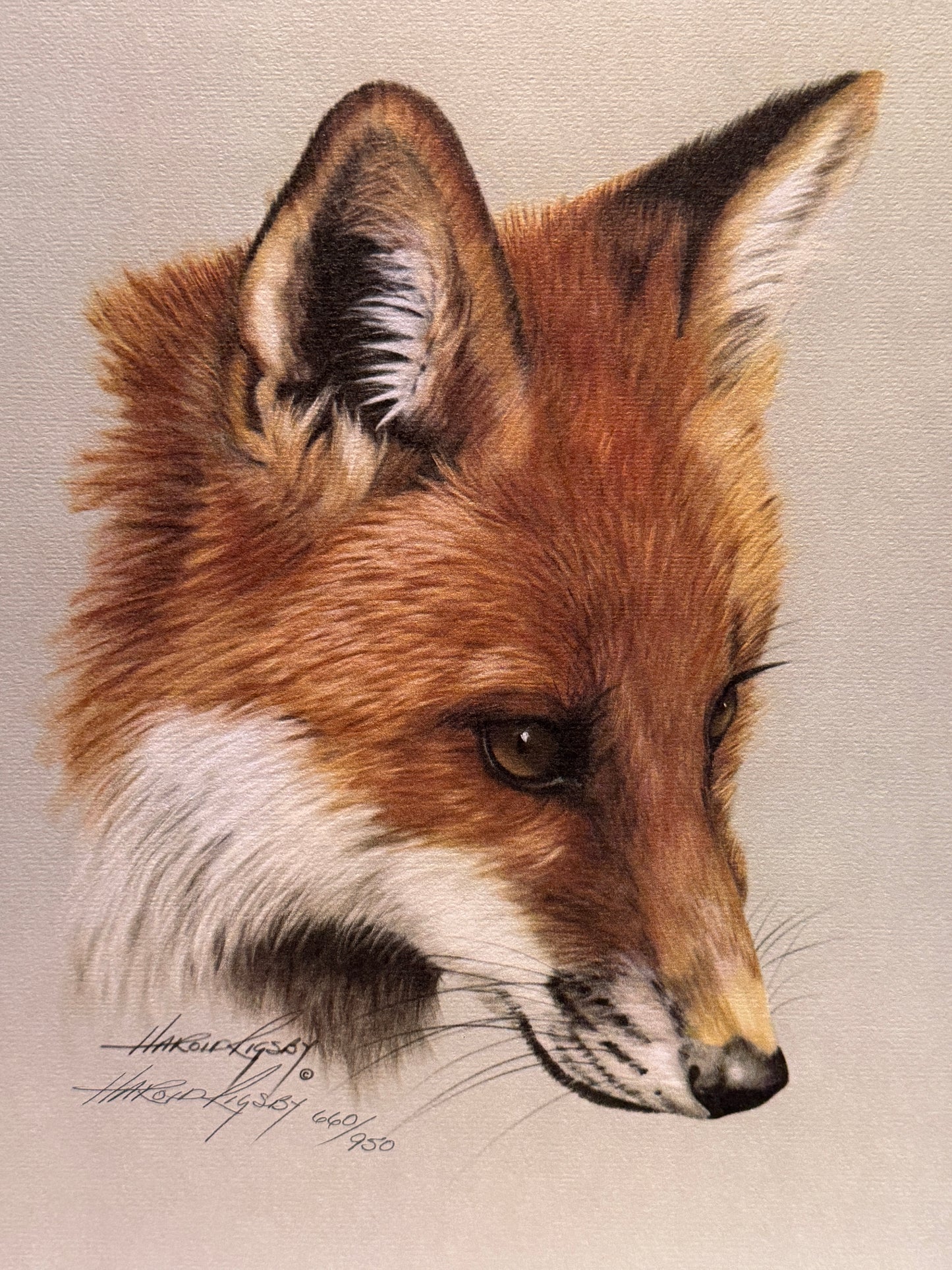Harold Rigsby “Red Fox I” Limited Edition Private Collection Lithograph