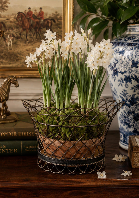 Antique French Metal Cachepot Planter